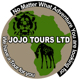 jojo tours logo